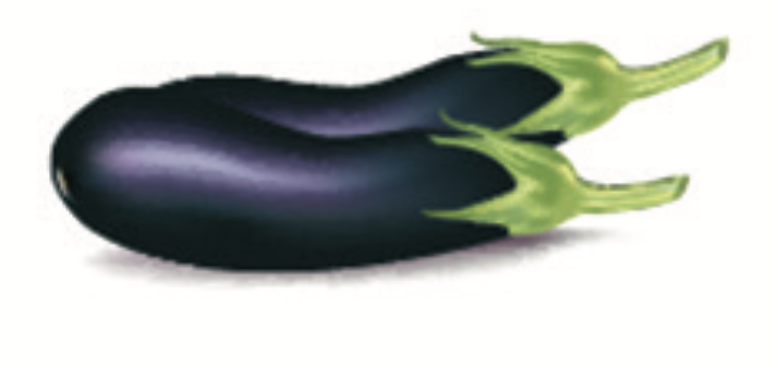 eggplant